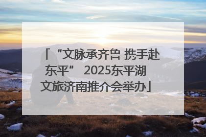 “文脉承齐鲁 携手赴东平” 2025东平湖文旅济南推介会举办